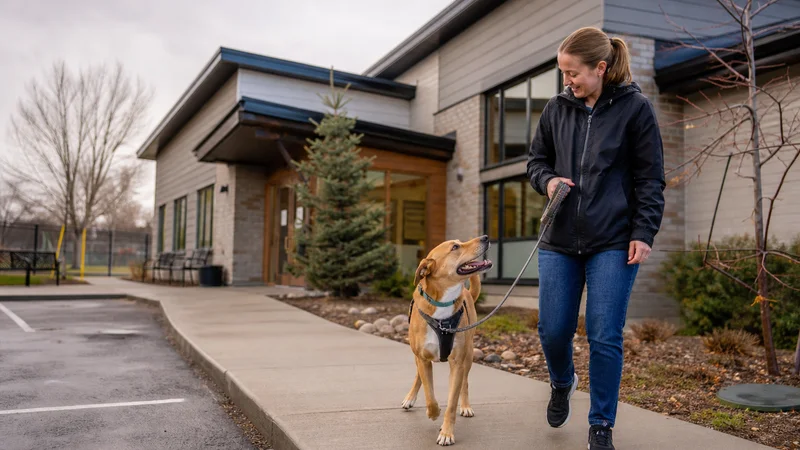 A local humane society building in a Canadian city, representing community-run subsidised desexing programs outside Toronto