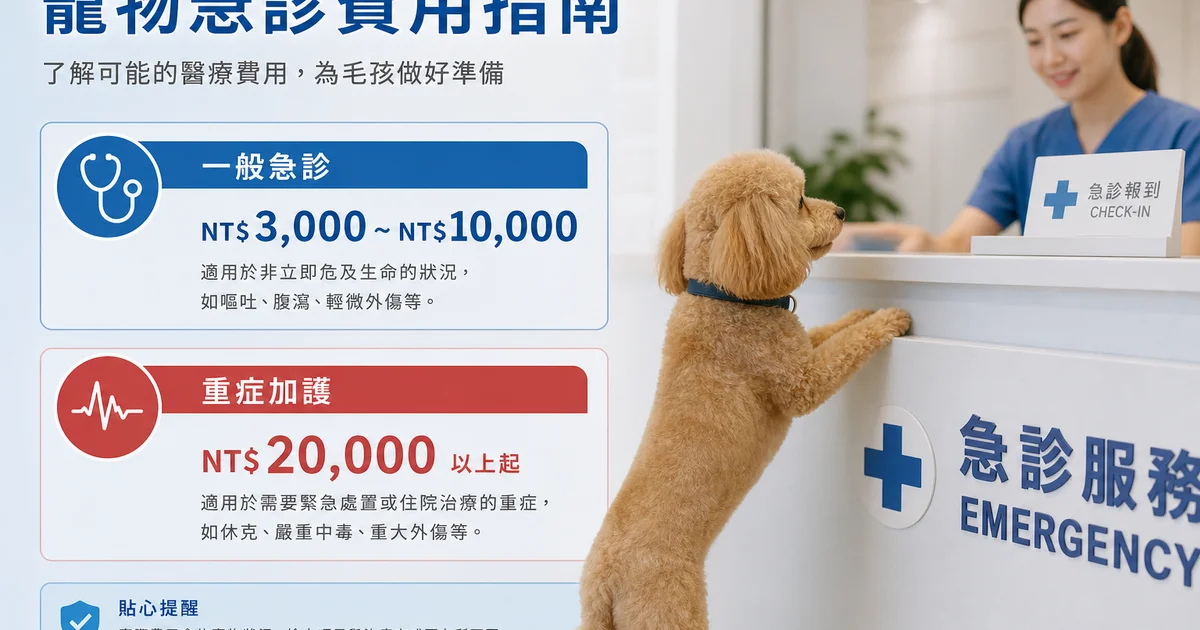 狗狗急診費用懶人包:掌握急診、住院與手術預算